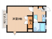 パールピアス